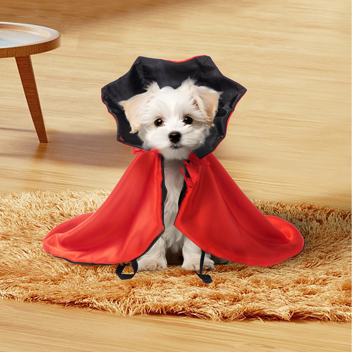 Small white dog wearing a red and black cape on a wooden floor.