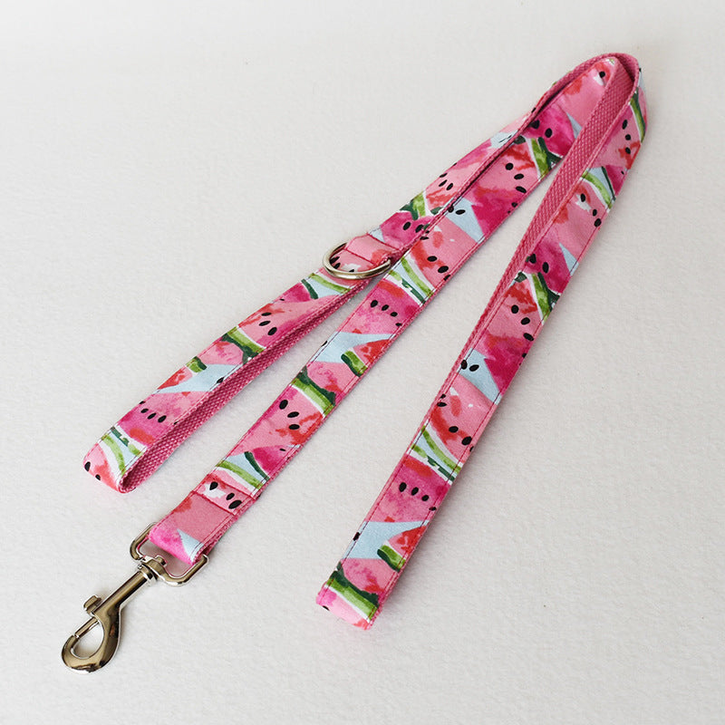 Dog leash with watermelon pattern on a light gray background
