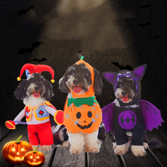Three dogs in Halloween costumes on a dark background with pumpkins.