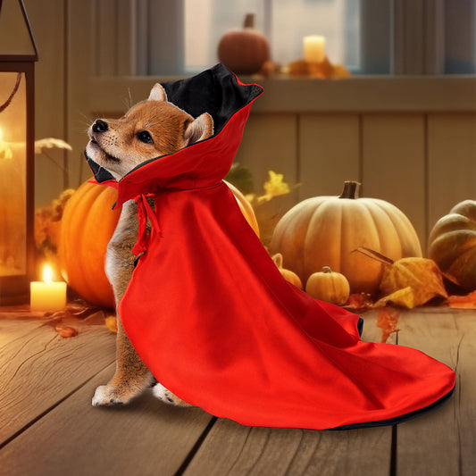 Dog in a red cape and black hat surrounded by pumpkins and candles in a festive setting