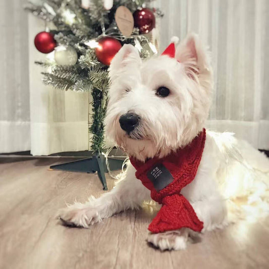 White dog wearing a red scarf in front of a decorated Christmas tree.